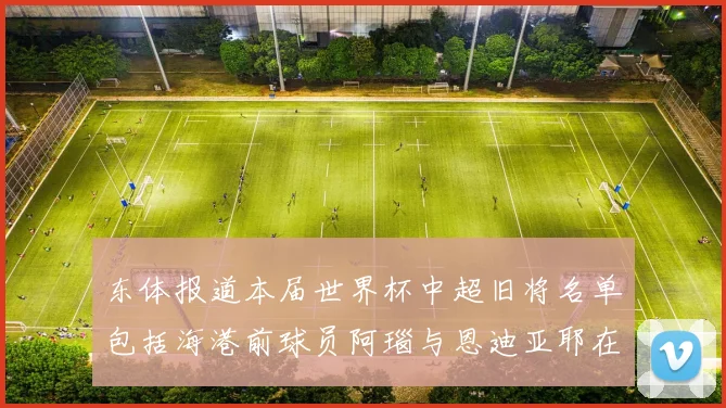 东体报道本届世界杯中超旧将名单包括海港前球员阿瑙与恩迪亚耶在内的10位球员